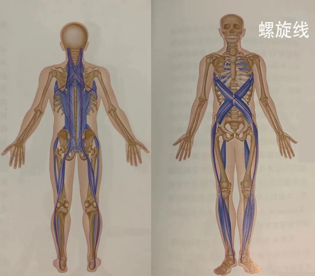 腿早晚粗细相差很大如何改善,还为腿粗而烦恼吗