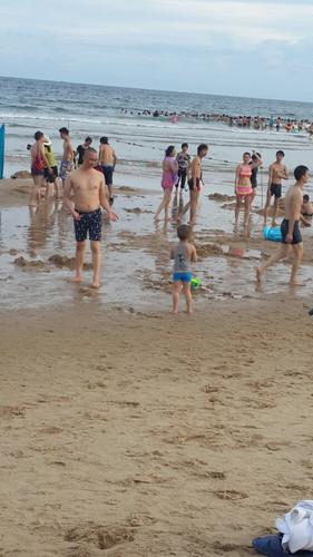 江阳区旅游景点,泸州江阳分水镇旅游景点