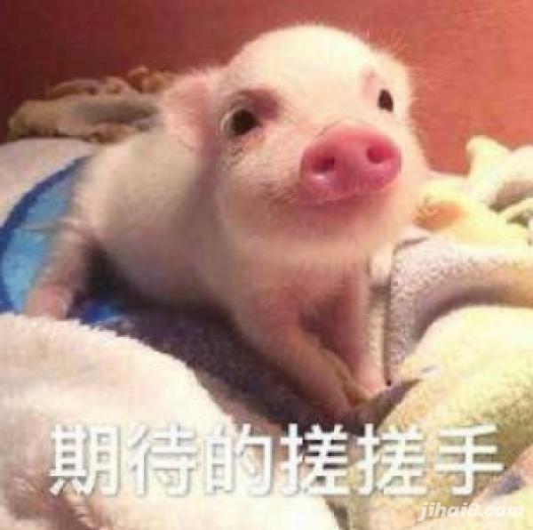 2年前，他选择退役！某世界级后卫：噩梦终于结束了