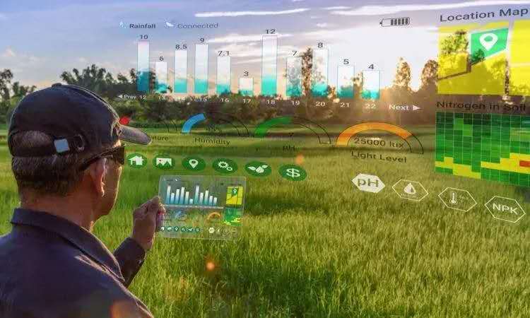 Instadapp空投方案已出？算法稳定币爆发的底层原因