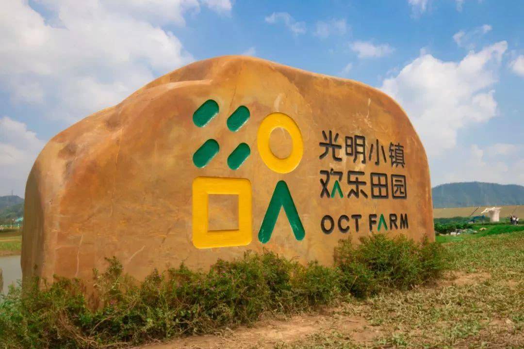10年深圳落户条件,深圳10个区域发展顺序