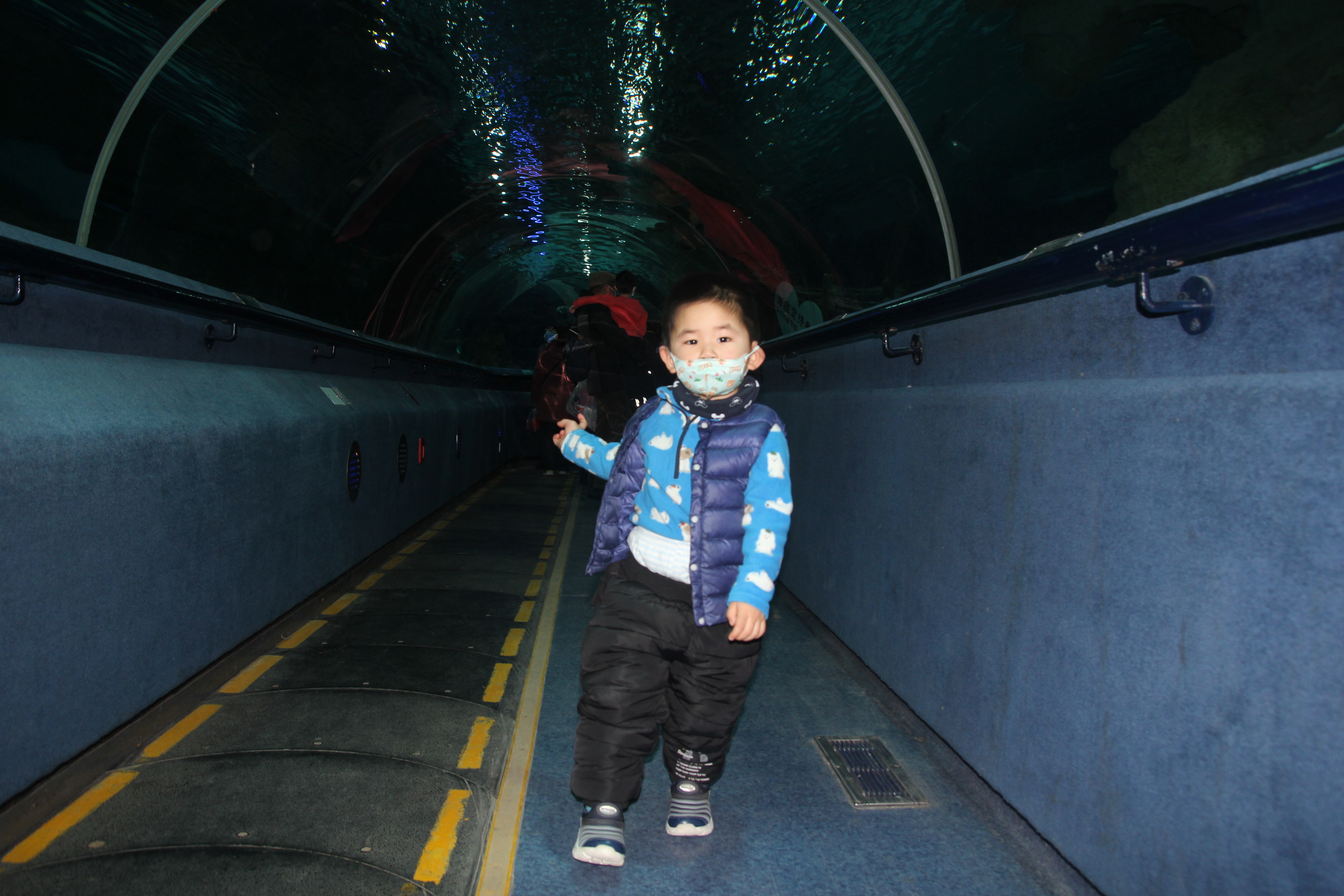 太平洋海洋馆和北京海洋馆哪个好,北京海洋馆海底通道游记