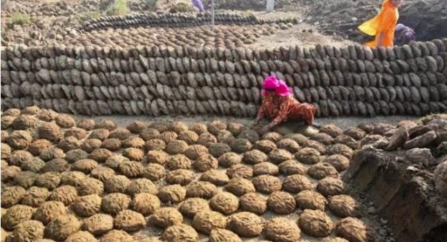 印度牛尿饮料，最贵80元一瓶卖到脱销，曾经想要出口给中国