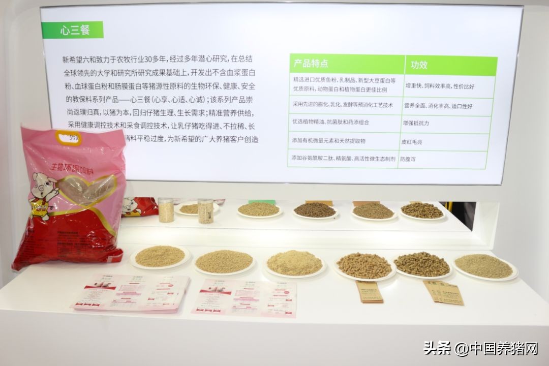吃得多、出栏快、不拉稀，新希望六和教你金猪行情下抢占先机