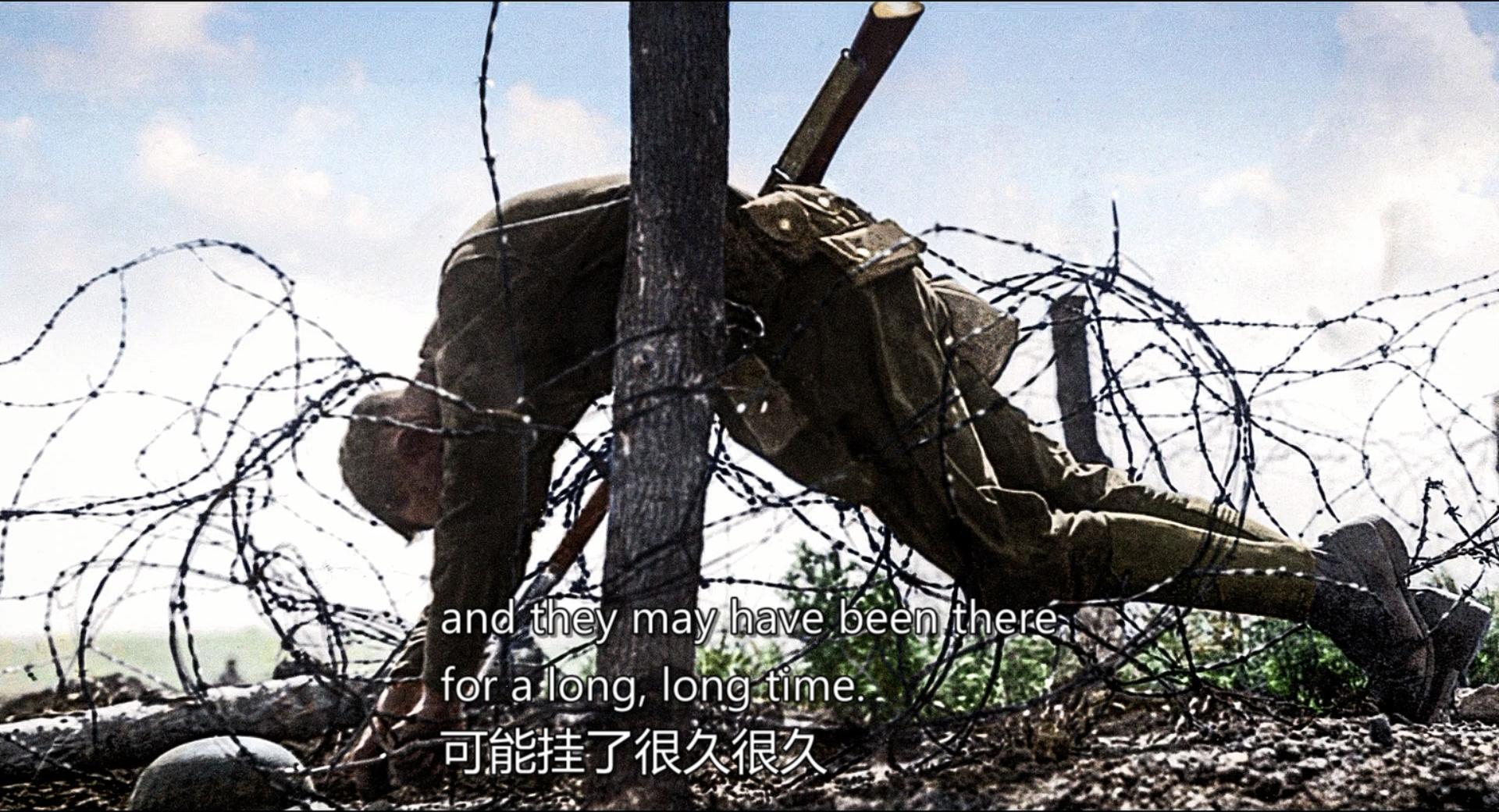 人不能被忘记的电影,不该被遗忘的人永远都不会被忘记