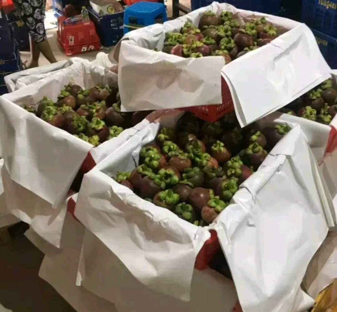 国内还没规模种植，全靠进口供应，如今却沦落地摊，10元3斤