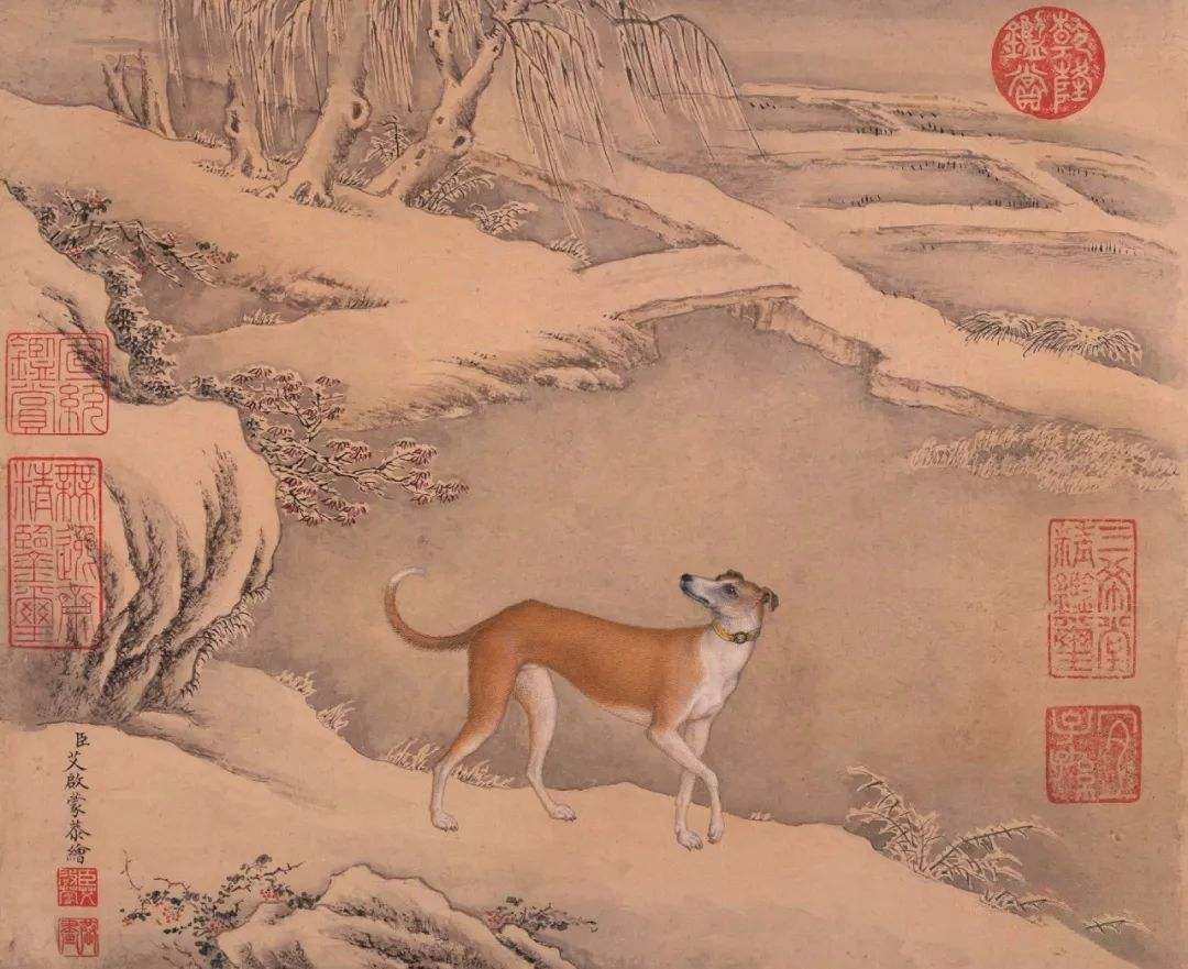 中国十骏犬图集,清朝十骏犬图都是啥品种