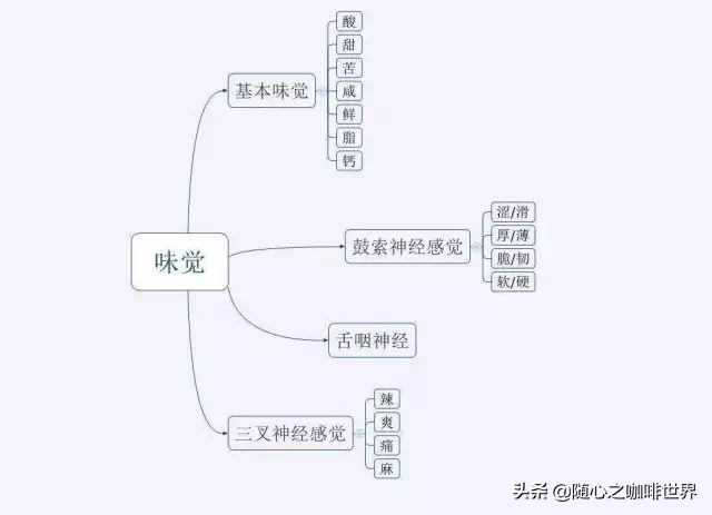 咖啡达人该怎样提升咖啡品鉴能力？