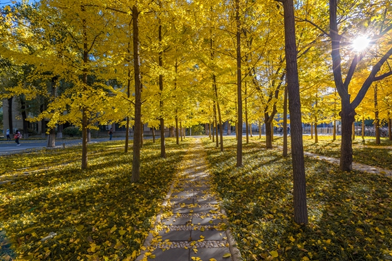 北京航空航天大学研究生招生网,北京航空航天大学研究生招生公告