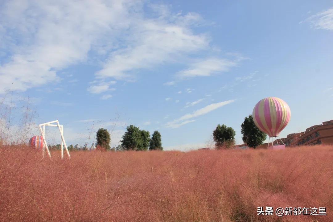 来成都新都公园走一走,新都才是最向往的生活