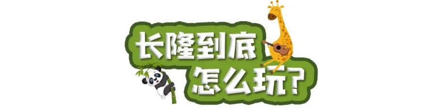 长隆飞鸟乐园长隆熊猫酒店怎么选,周一长隆野生动物园游玩攻略