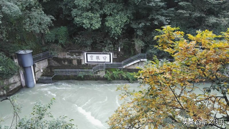 成都世警会开幕式,2019成都世警会开幕式