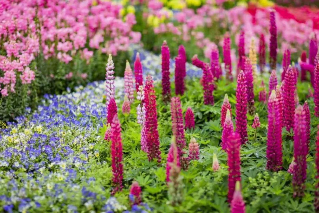 庆祝新中国成立70周年新闻报道,庆祝新中国成立70周年特辑宣讲