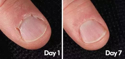 日本断货王怎么样,日本神仙乳霜