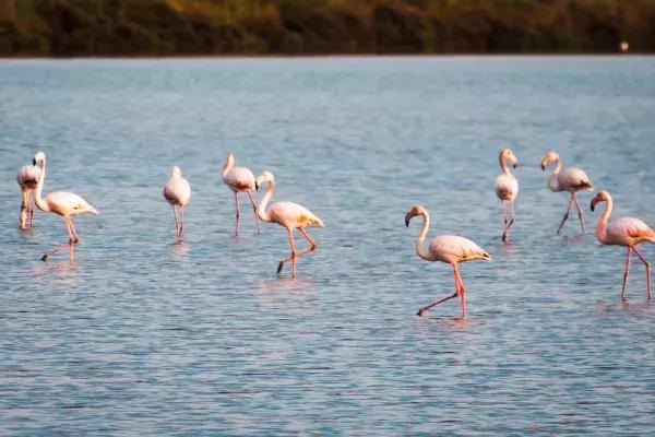 克罗地亚十日自驾游详细攻略,克罗地亚10天自驾游