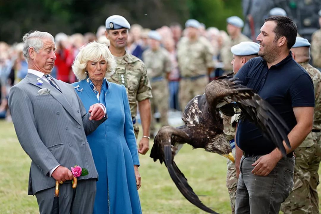 凯特王妃不谨慎鞋跟掉到排水道口,凯特王妃被踢