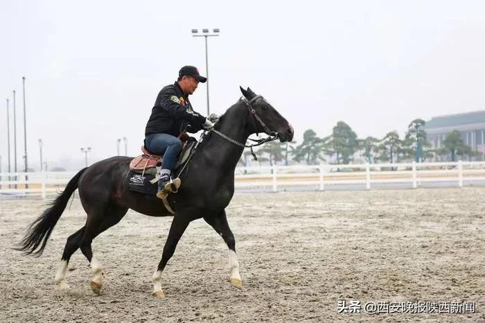 十四运会赛程安排在哪看,十四运会观赛