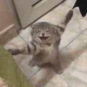 师父我要跳舞了第一季免费观看,师父我要跳舞了第二季最后一期