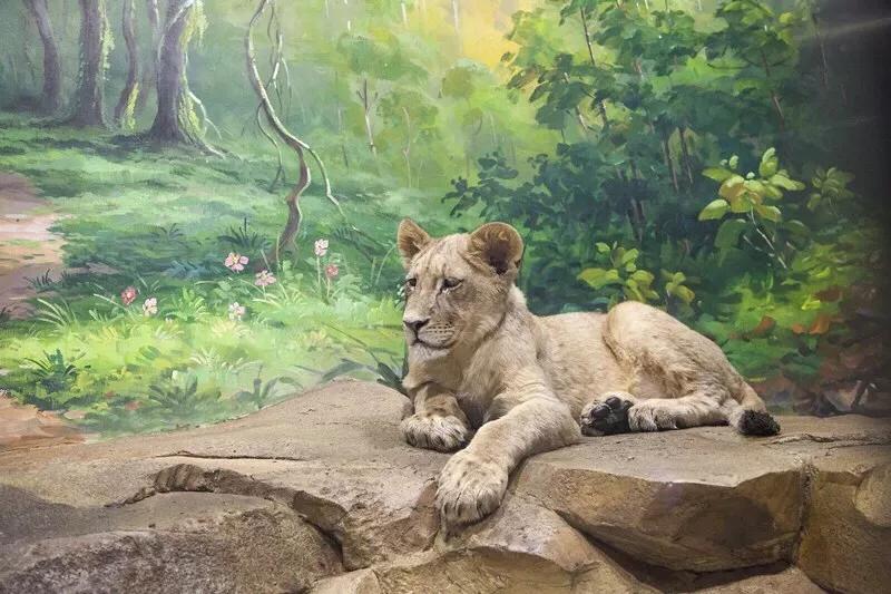 春节去哪里旅游好吃的多一点,好嗨哟吃喝玩乐