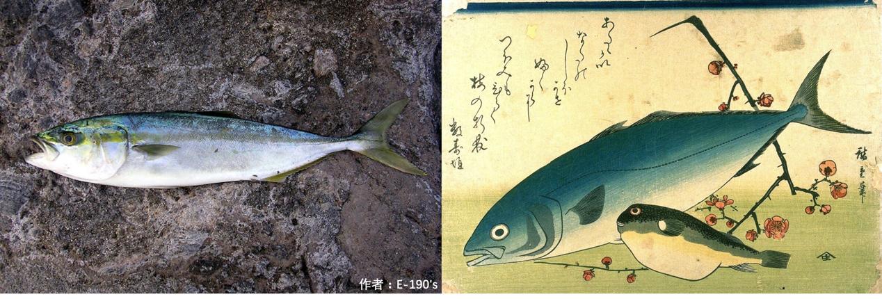 30年后可能吃不到巧克力,三十年后吃不到巧克力了