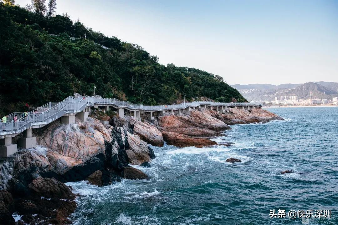 深圳新开通地铁看海,深圳新开通地铁通往海边是几号线