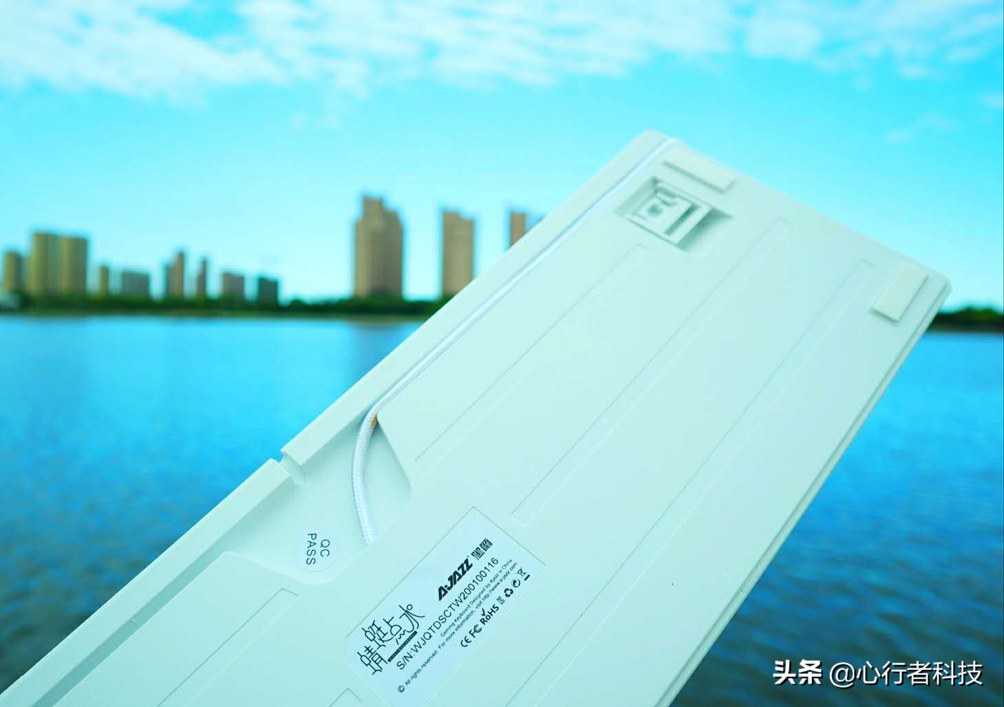 蜻蜓点水立指尖——黑爵蜻蜓键茶轴体验