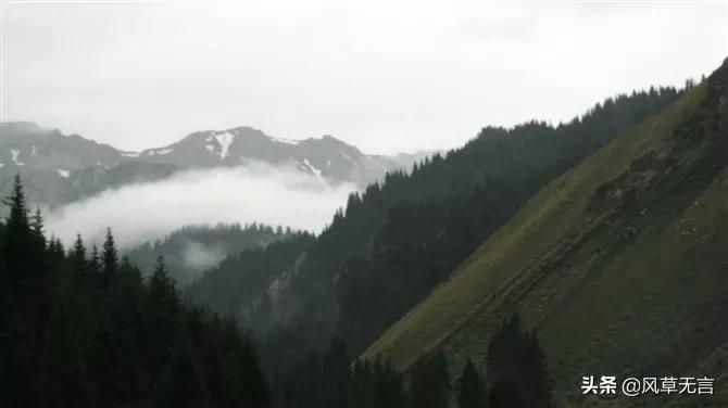 回归的日子伊犁之骑行