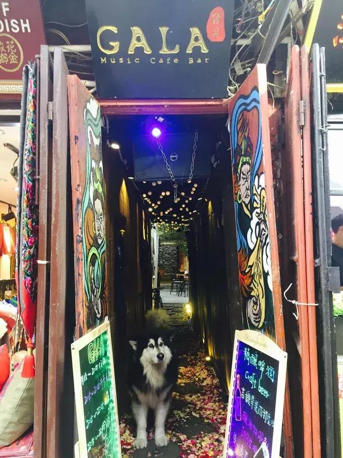 大理古城最出名的十大酒吧,了解一下云南大理古城最嗨酒吧