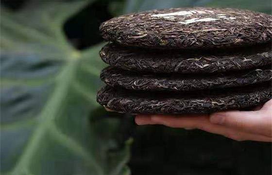 普洱茶怎么会硬得像块砖头？这个问题已经有超过100人来问了