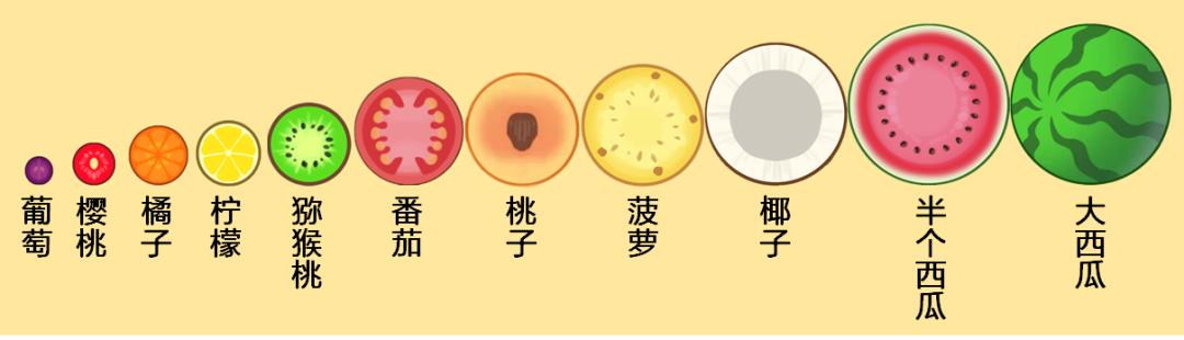 教大家如何合成大西瓜,合成大西瓜技巧分享