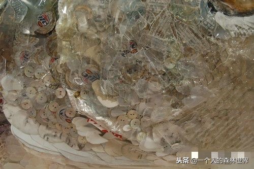 閫忚澶栨寕鐪熷疄浜嬩欢,閫忚澶栨寕鐪熺殑鍋囩殑