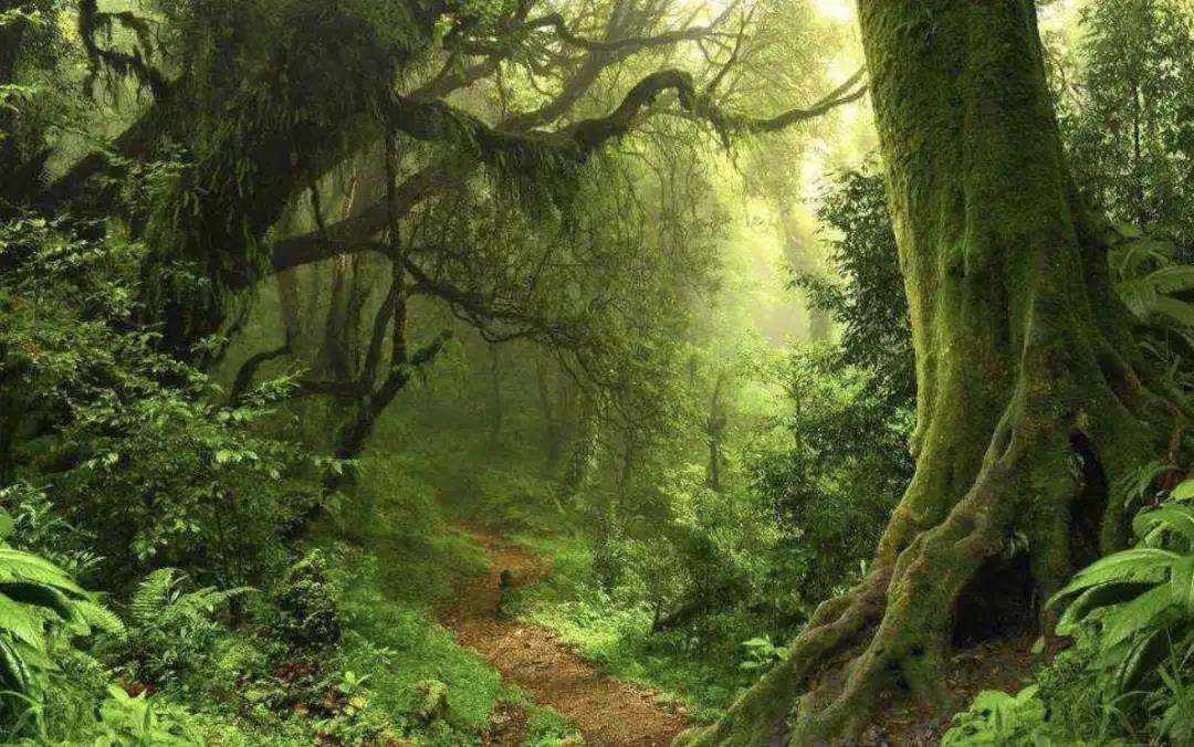 巴西的国庆节在几月几日,巴西国庆节是几月几日