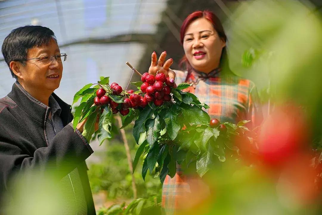 【超燃来袭】武清：70张笑脸，用稳稳的幸福，致敬可爱的祖国！