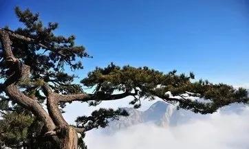 致敬抗疫英雄弘扬雷锋精神,向英雄致敬抗疫精神