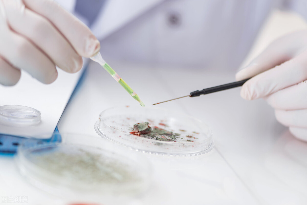 免疫治疗胶质瘤最新进展,胶质瘤能用靶向药物治疗吗