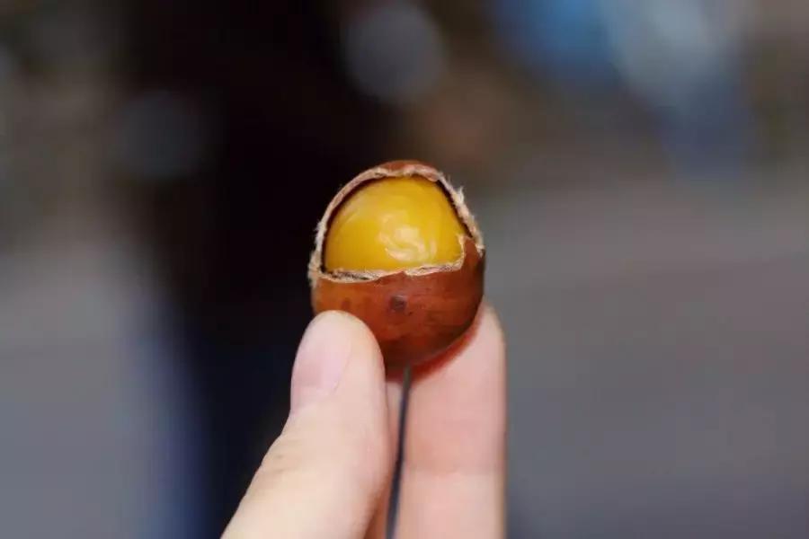 金味栗子在南京有几家店,好吃的栗子店有哪些