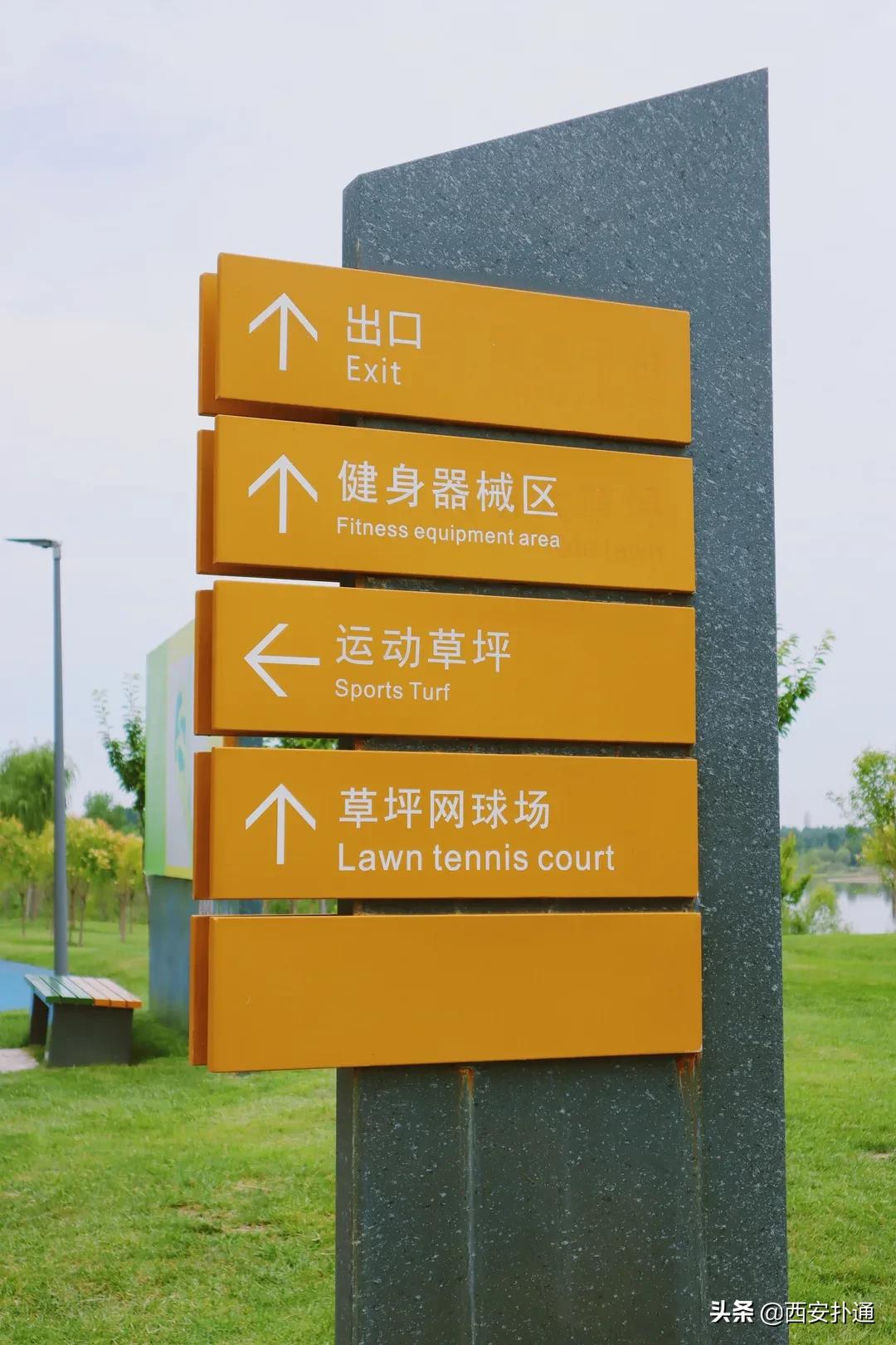 西安大草坪公园推荐,西安有大草坪的公园