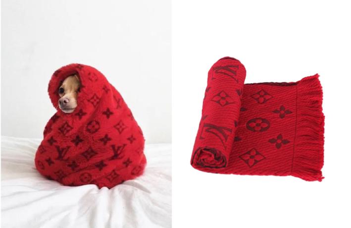 还在自嘲单身狗？快醒一醒！看看汪星人都拥有LV限量款了