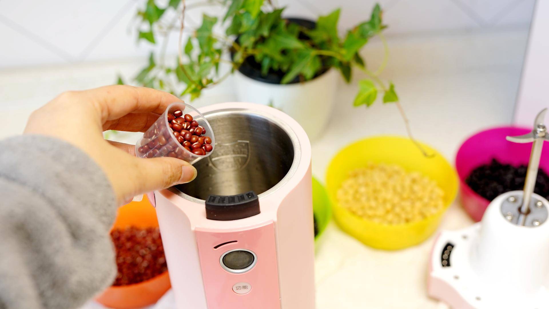 豆浆机食谱大全一人份,食谱分享快手菜