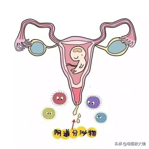 在孕早期孕妇应关注哪些问题,孕妈妈需警惕的产前几大症状