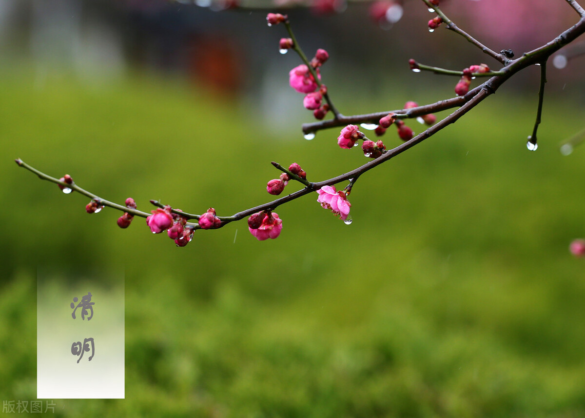 上海高院关于房屋动迁补偿款分割,上海公房动迁征收中的同住人认定