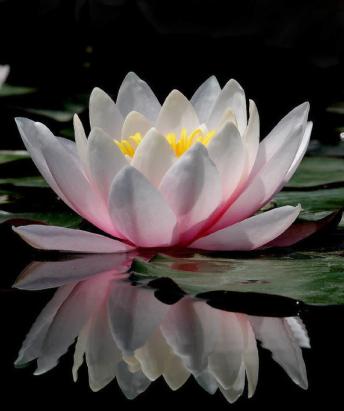 期货交易：建立明确的行情判断准则