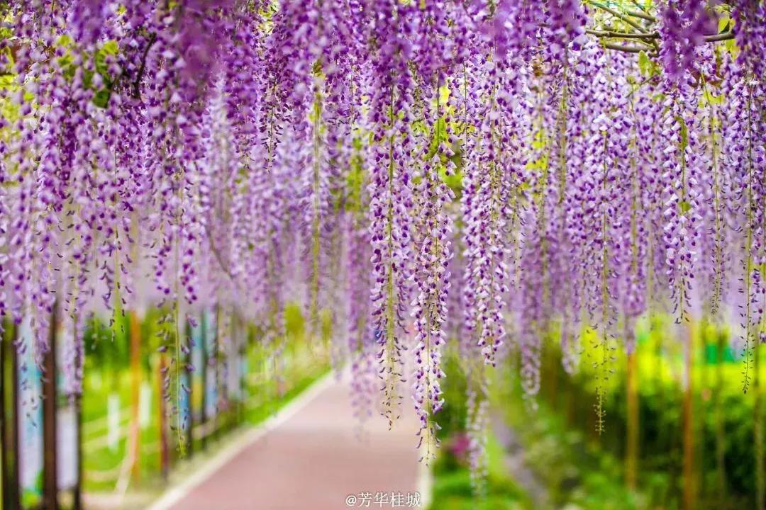 周边有什么可逛的地方吗,4月适合去哪儿旅游攻略