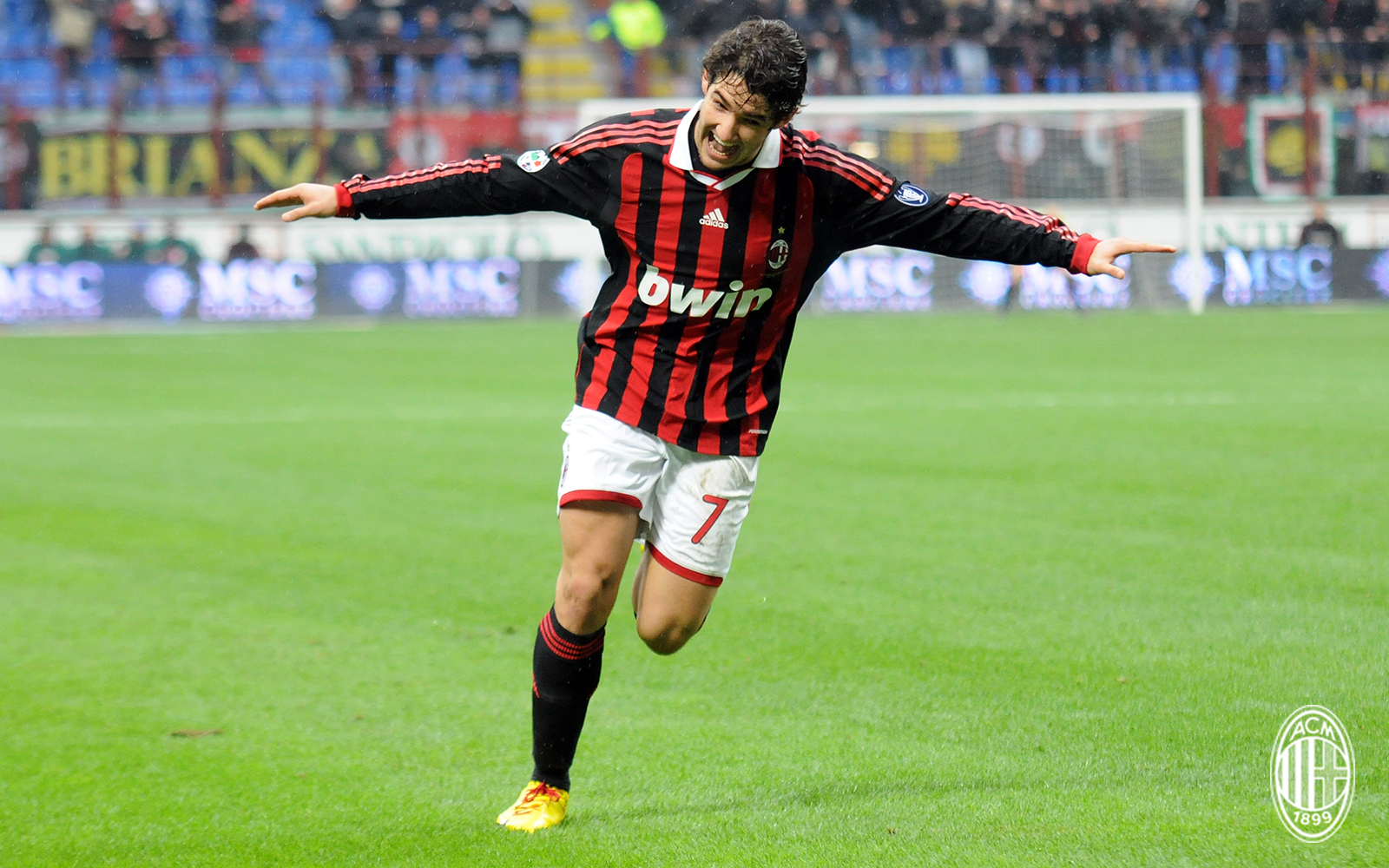 盘点红七仙子的故事,红黑七号