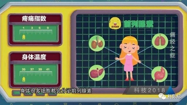 什么原因会引起痛经,痛经喝红糖水真的有用吗