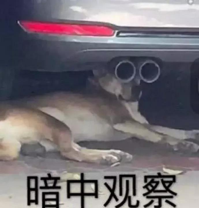 网红淘宝店铺货源怎么找的,淘宝便宜网红店铺是真的吗