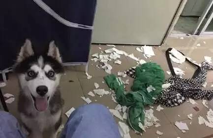 女神节将至，小伙把女友全部口红熔化成一支，那些直男送的沙雕