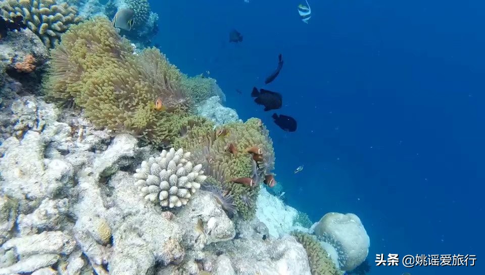 马尔代夫攻略,马尔代夫出游攻略