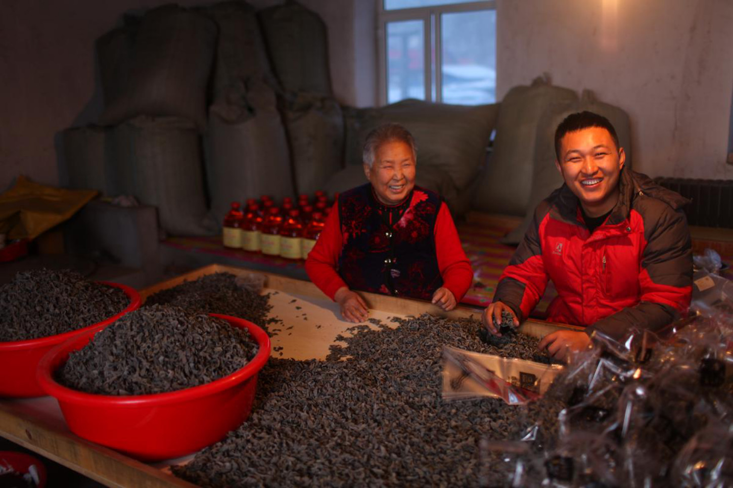 记录农村生活的东北网红,东北网红记录乡村生活