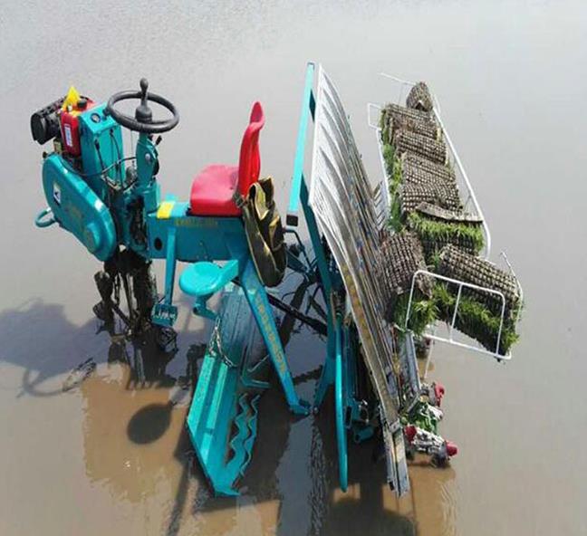 机械化育秧插秧省时又省力,水稻机械化插秧的优缺点